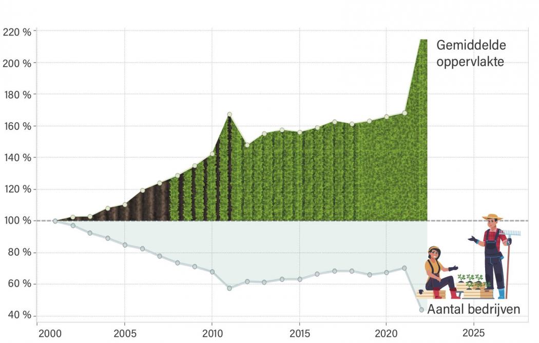 Figuur 1: Relatief aantal groentebedrijven en gemiddelde oppervlakte ten opzicht van 2001.