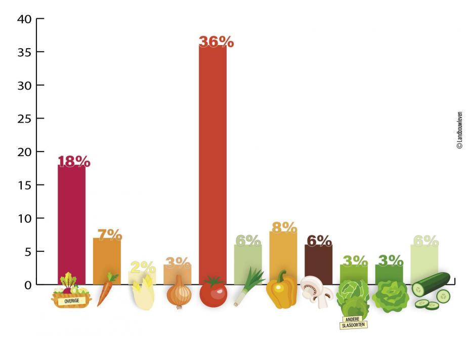 Figuur 2: Aandeel groentesoorten in Belgische export van verse groenten (in % van de exportwaarde) in 2022.