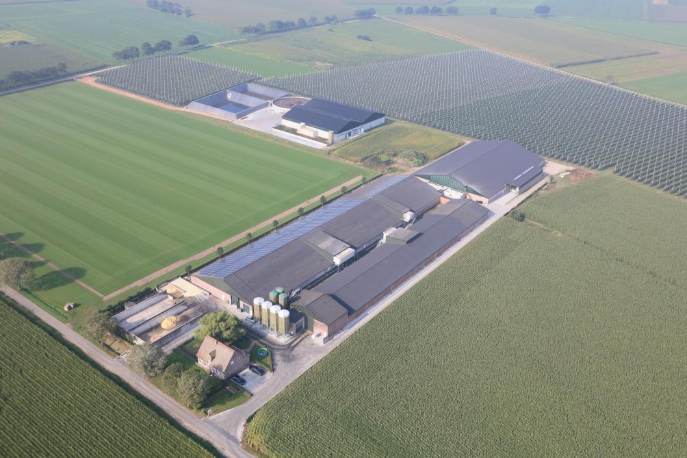 Luchtbeeld van enkele varkensstallen, de mestverwerking en de perenboomgaard van de Groep Beck-Vanthillo.