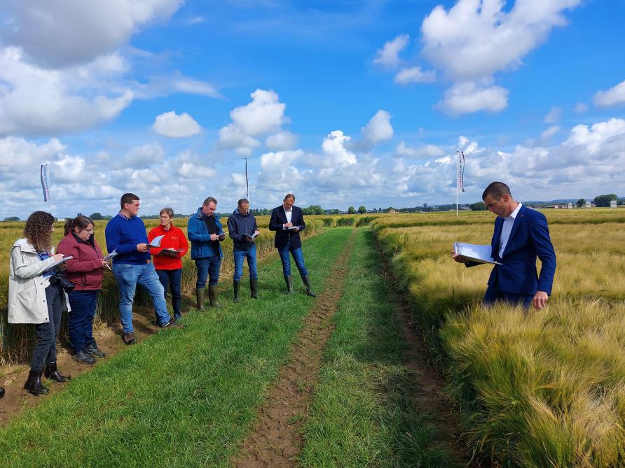 Brecht  Ruysschaert  gaf toelichting  bij de  wintergerstrassen tijdens het  demoveldbezoek.