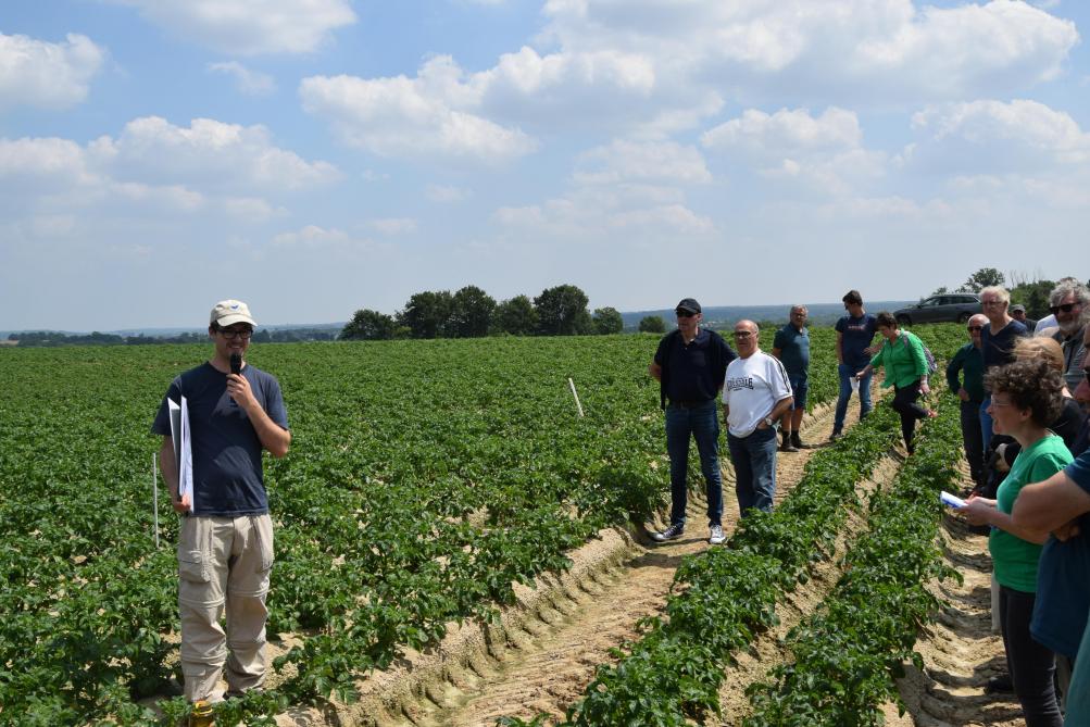 Simon Cook van de Bodemkundige Dienst van België presenteerde de bemestingsproef rond fractionering bij aardappelen.