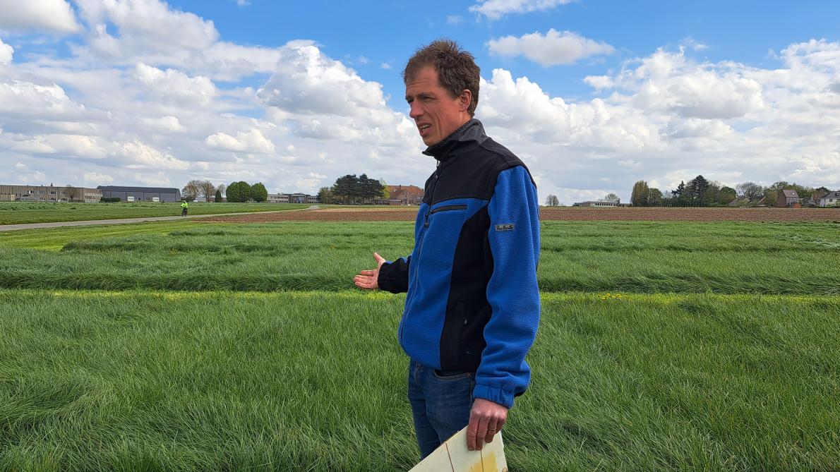 Volgens Mathias Cougnon (ILVO) bieden gras en klaver voor veehouders het meest potentieel om hoge opbrengsten mee te halen.