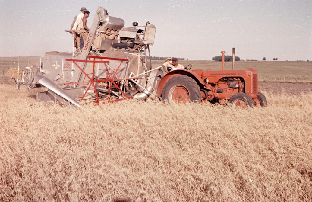 De eerste maaidorsers die Claas produceerde, waren getrokken modellen.