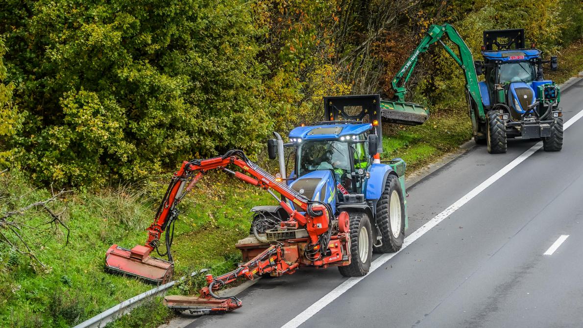 Krinkels komen we vaak tegen tijdens het maaien van wegbermen.