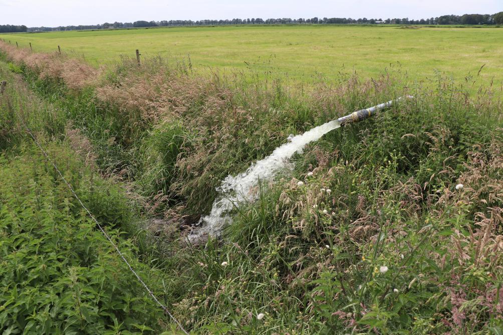 Stan werkt met peilgestuurde drainage. Hij kan met een waterpomp het waterpeil in zijn sloten razendsnel verhogen.