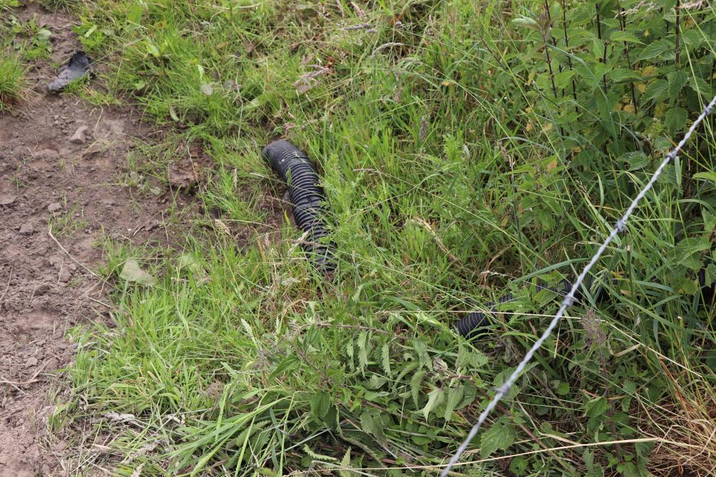 De mestputlucht gaat via deze buis de grond in. De buis is aangesloten op de aanvoerleiding voor lucht, die dwars over de 20 drains loopt.
