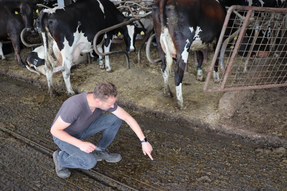 Stan wil de mest scheiden op de roosters. Hij gebruikt nu roosters van 40 cm, met daartussen 2 cm urinegleuf.