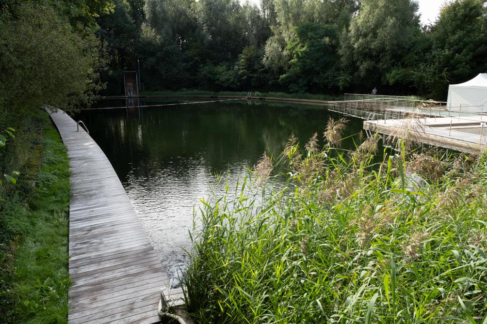 Een zwemvijver heeft dankzij het ecologisch aspect een grote meerwaarde in vergelijking met een grasperk.