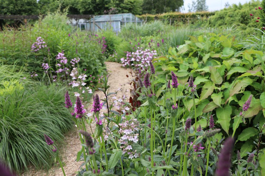 Een biodiverse tuin hoeft geen wildernis te zijn.
