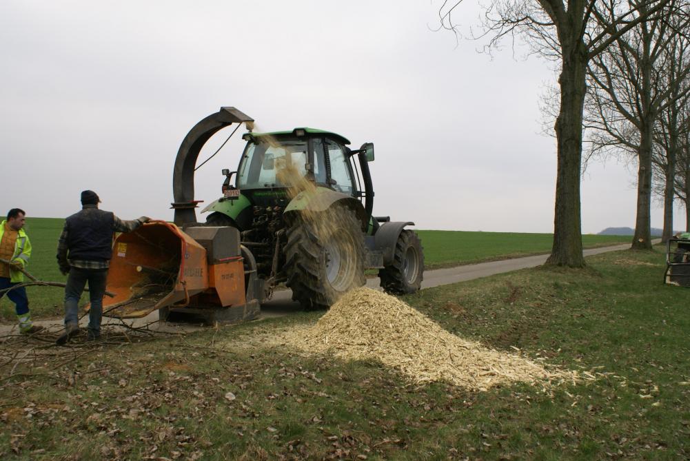 Iedere gebruiker heeft zijn  verlangens,  daarom is er een ruim aanbod  houthakselaars.