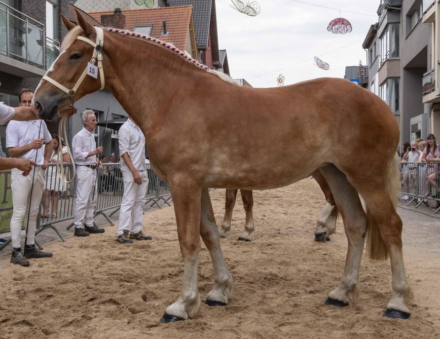 Crystal van Belle werd uitgeroepen tot dagkampioen (jeugdkampioen).