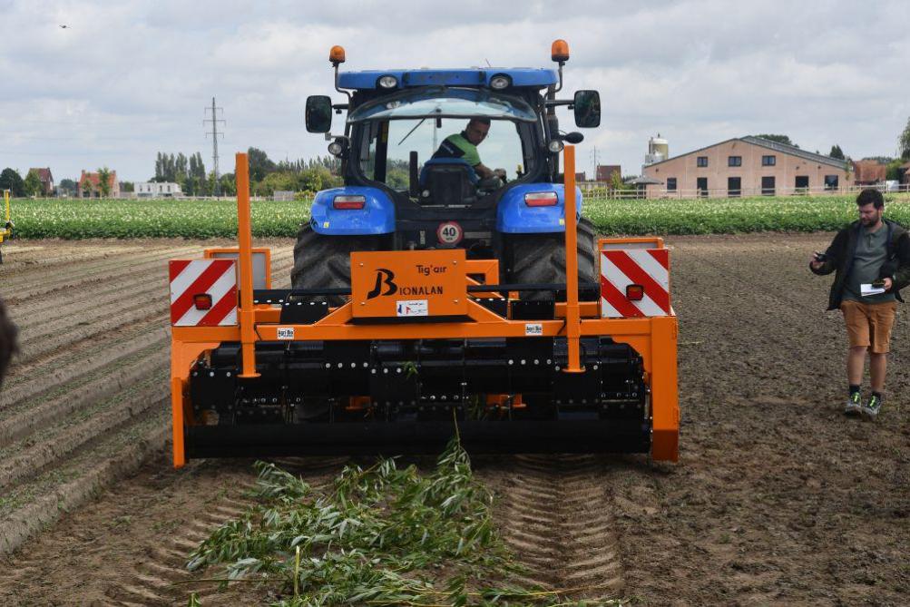 Onkruidtrekkers kunnen de laatst overgebleven ‘grote’ onkruiden wieden.