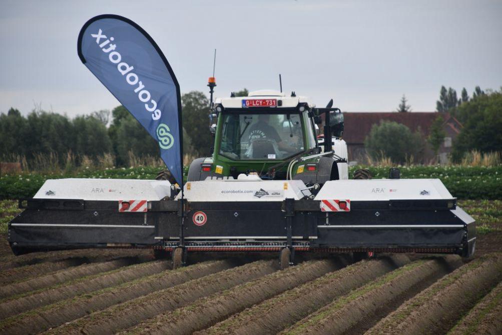 De Ecorobotix localiseert de onkruiden en gaat zete lijf met een gericht straaltje herbicide.