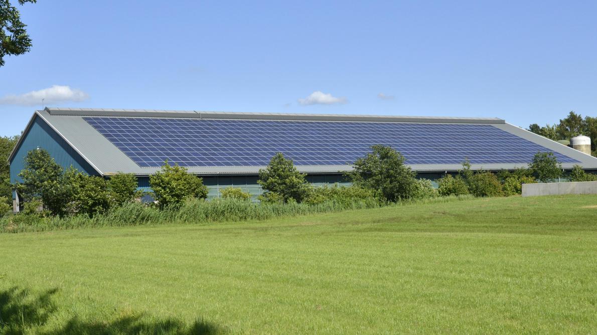 Diverse kringlopen worden op boerderijen gesloten. Denk bijvoorbeeld aan het opwekken van energie met zonnepanelen op stallen.