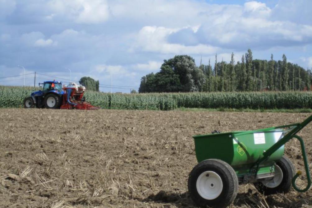 Bij de inzaai vaneen groenbedekker wordt een niet-kerende grondbewerking aangeraden.