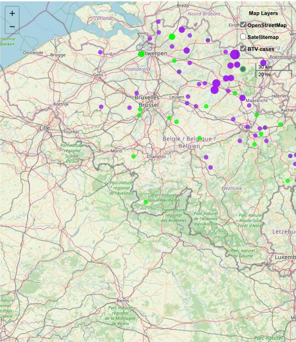 Overzicht van de vastgestelde blauwtongbesmettingen in ons land. De groene stippen staan voor runderen, de paarse stippen voor schapen.