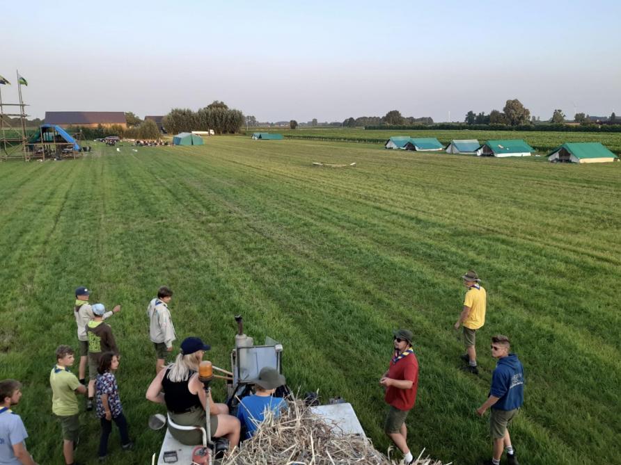 Jammer genoeg zal de kampweide in 2025 amper groepen kunnen huisvesten, want ze moet omgeploegd worden.