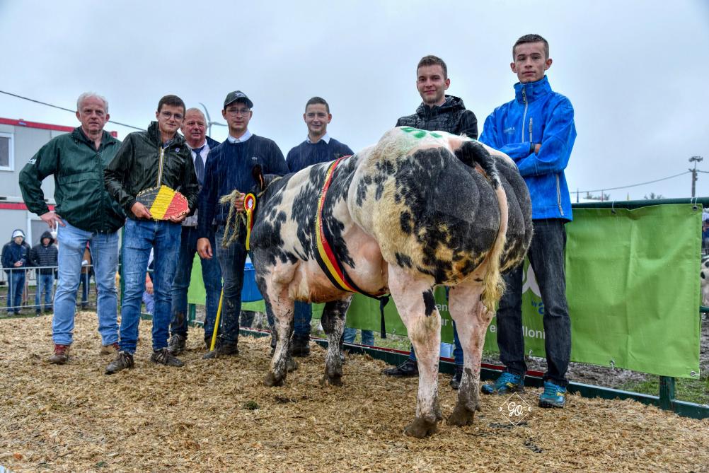 Kampioene  ‘Jonge vaarzen’ werd Lacoste  de Beauraing.