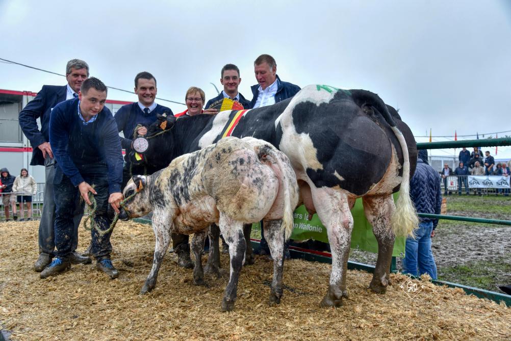Kampioenen ‘Koeien met kalf’ werd Madrilène  de Biert.