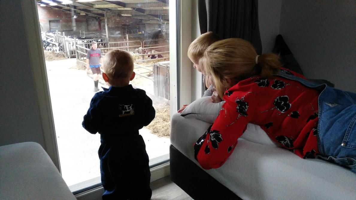 Slapen met zicht op koeien en kalfjes.