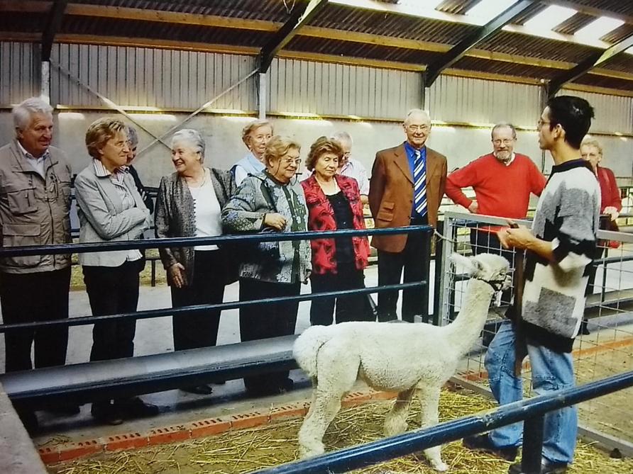 John Peeters deelde van bij de start zijn passie voor alpaca’s door de ontvangst van groepen.