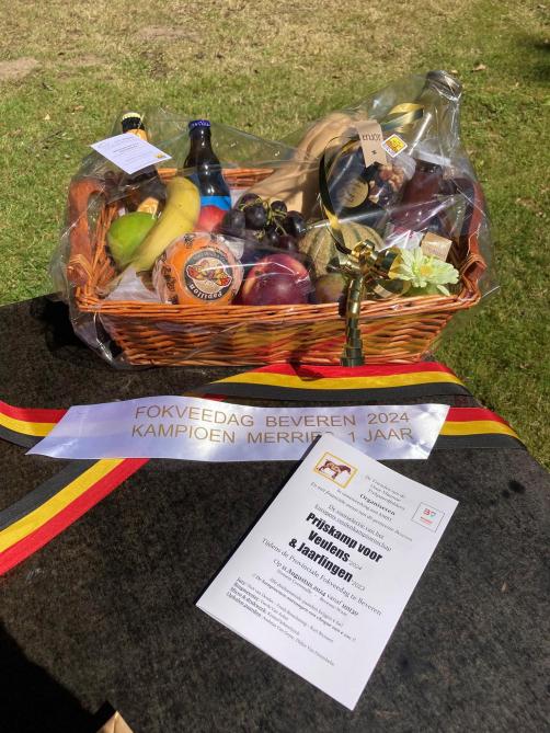 De prijzen voor de winnaars van de prijskamp voor veulens en jaarlingen, die gehouden werd op 11 augustus tijdens de Provinciale Fokveedag in Beveren, lagen klaar.