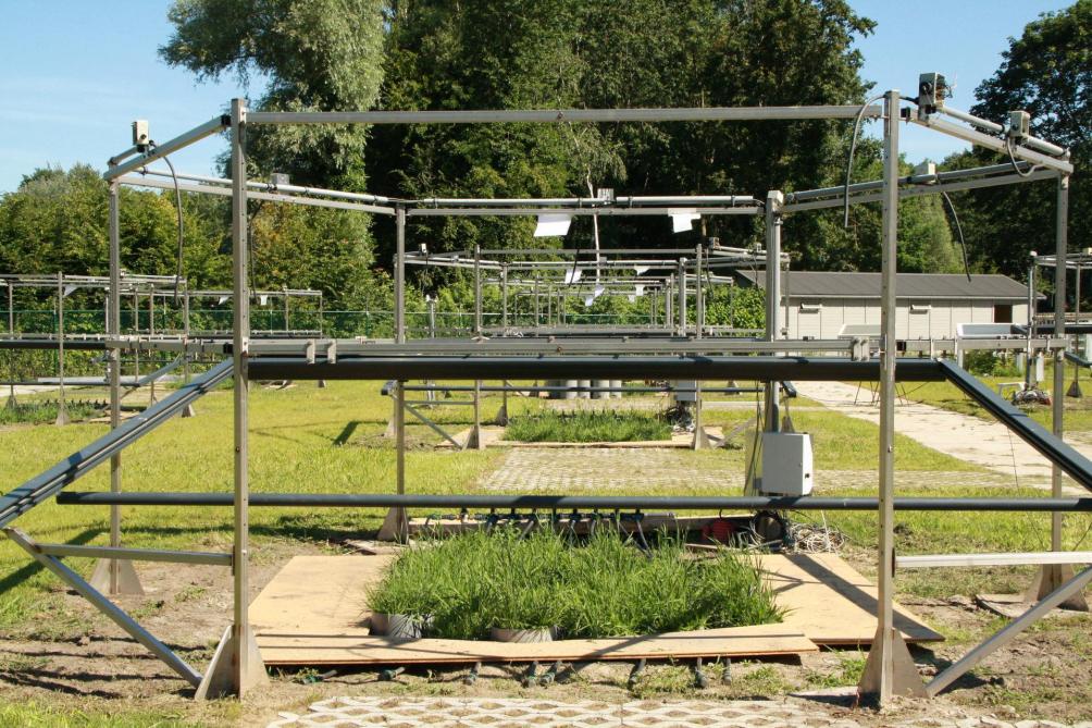 Reynaert plaatste proefopstellingen met diverse grassoorten in openlucht om in een miniatuurversie van het ecosysteem de gevolgen van de klimaatverandering waar te nemen.