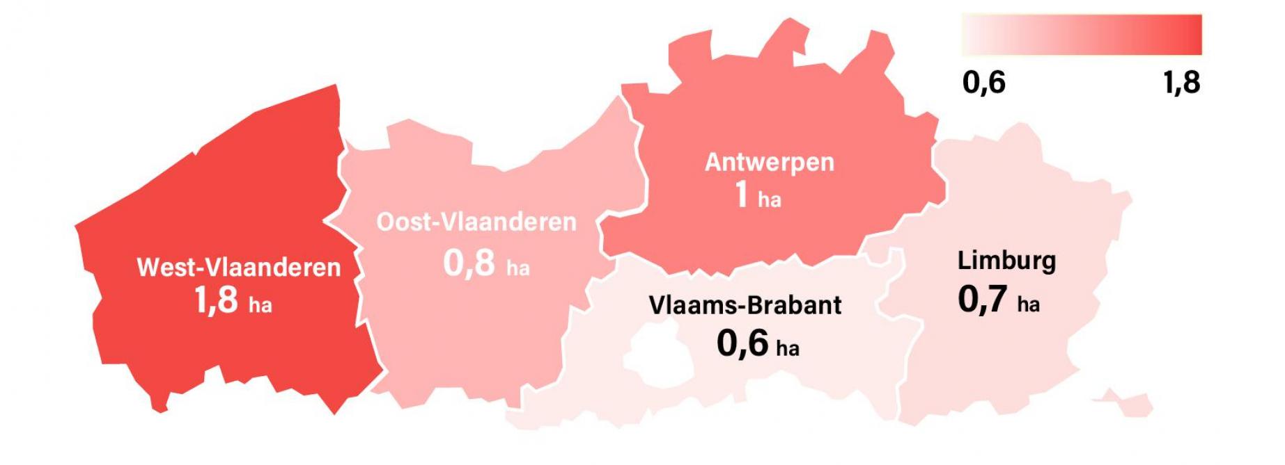 Figuur 2: Gemiddelde oppervlakte (ha) van landbouwgrond in de 5 Vlaamse provincies in S1 2024.