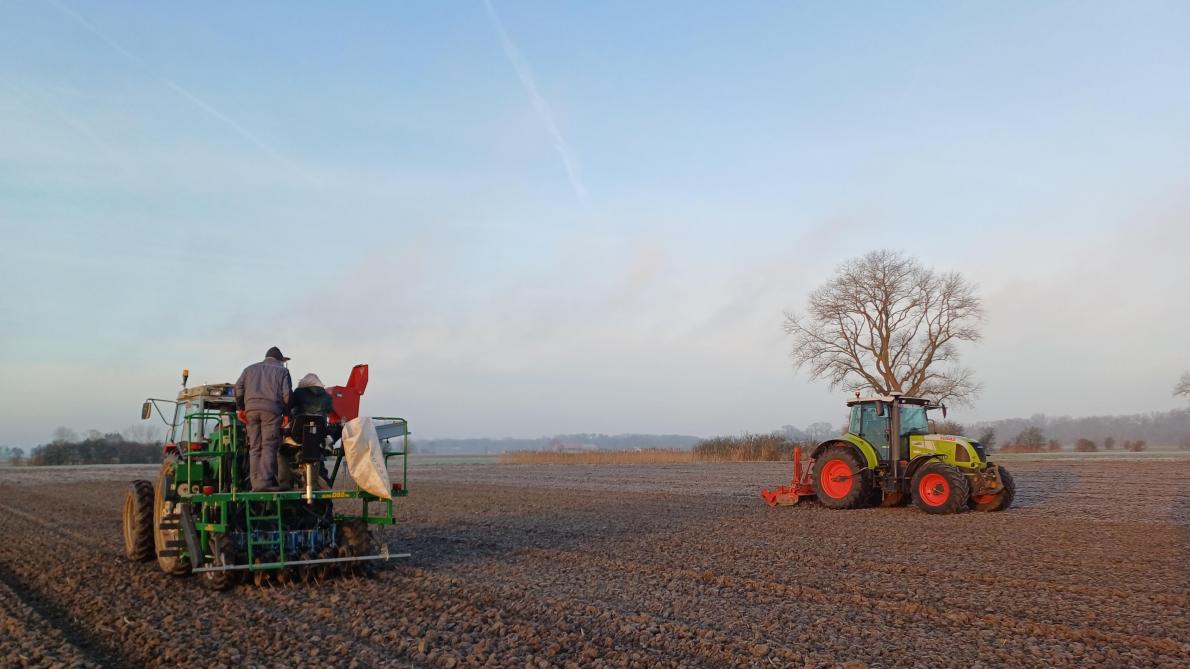 In Koksijde kon pas op 20 januari over de vorst  gezaaid worden.