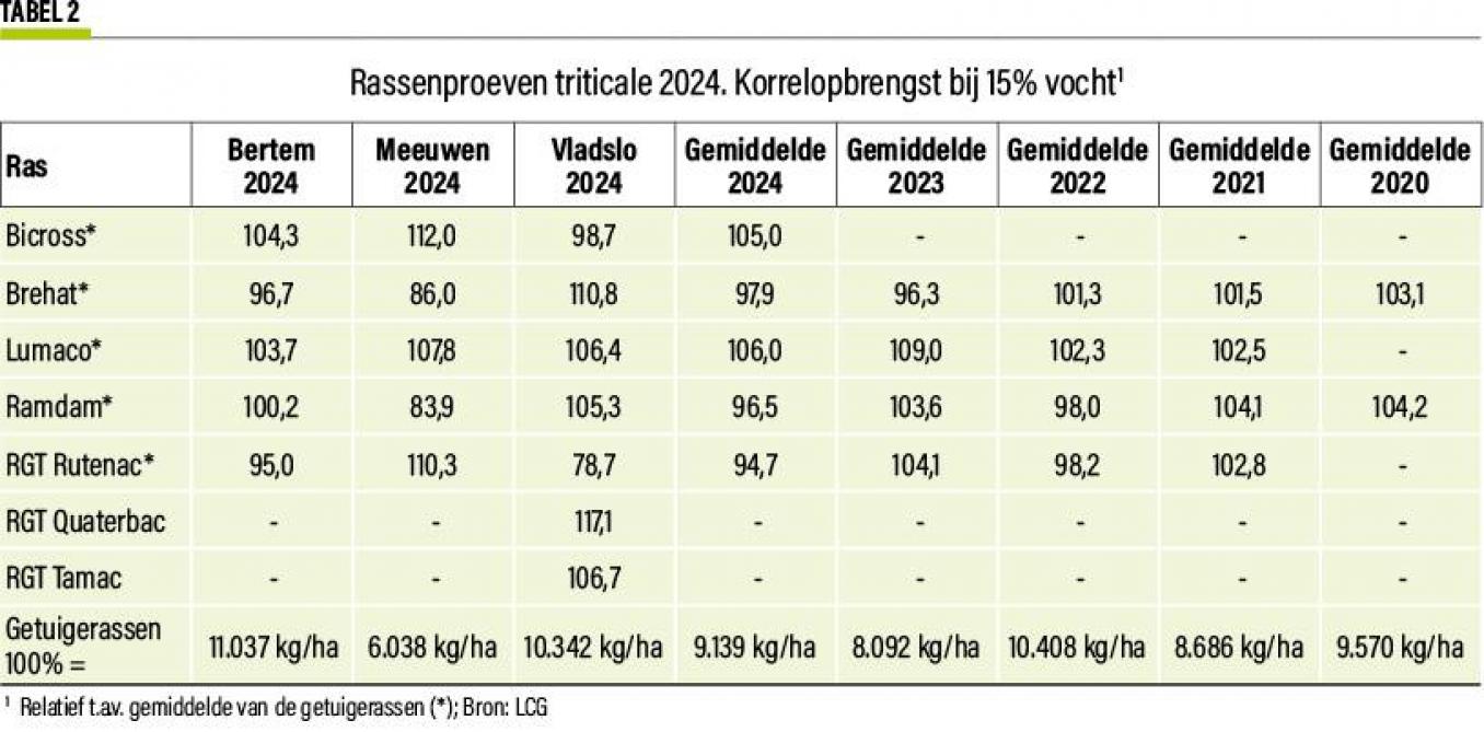 37-triticalerogge-02-web