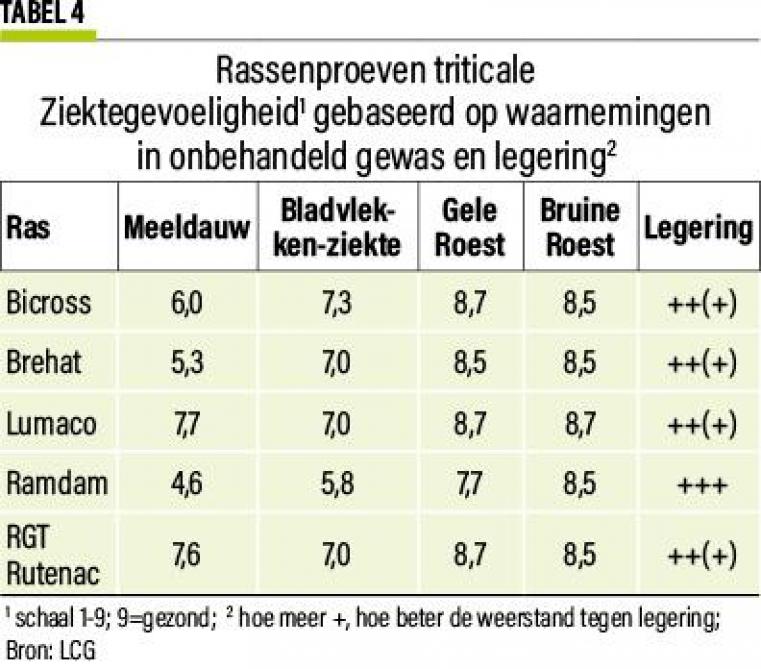 37-triticalerogge-04-web