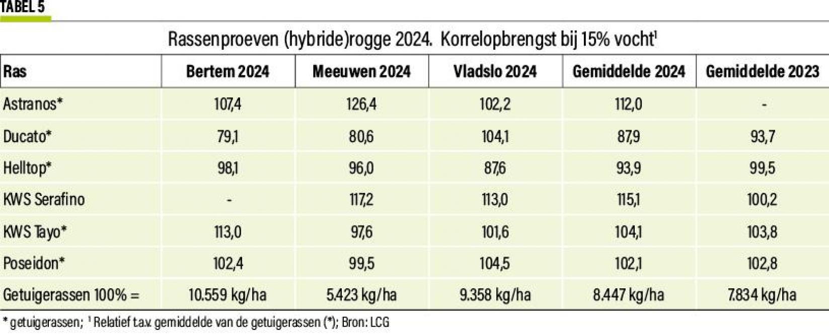 37-triticalerogge-05-web