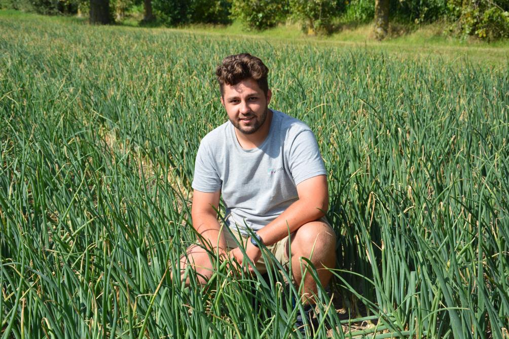 Jonas Bodyn, onderzoeker Groenten akkerbouwmatig bij Viaverda, startte begin juli in bijberoep bij TACO. Daar volgt hij vooral de voorlichting in de uienteelt op.