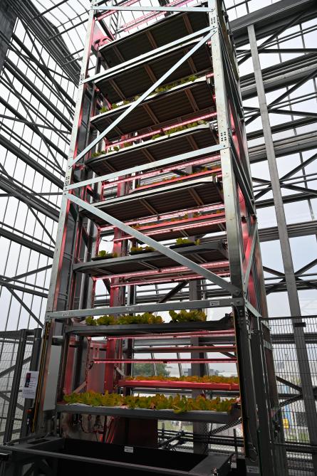 De vertical landbouwtoren combineert meerlagenteelt met dynamische belichting en natuurlijk zonlicht.