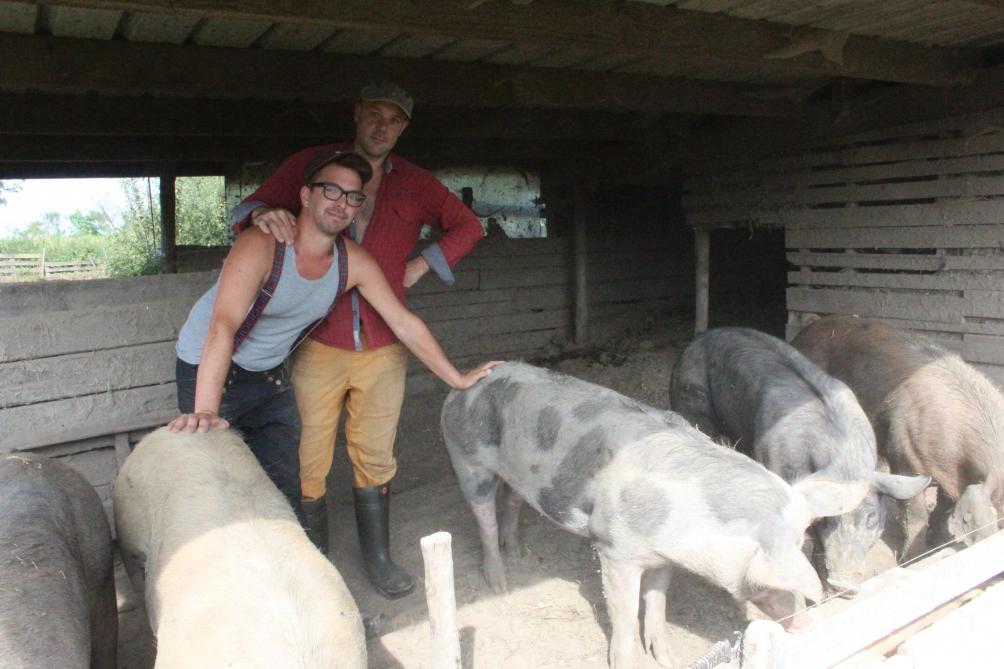 Een eigen zeugenstal is voorlopig nog toekomstmuziek.
