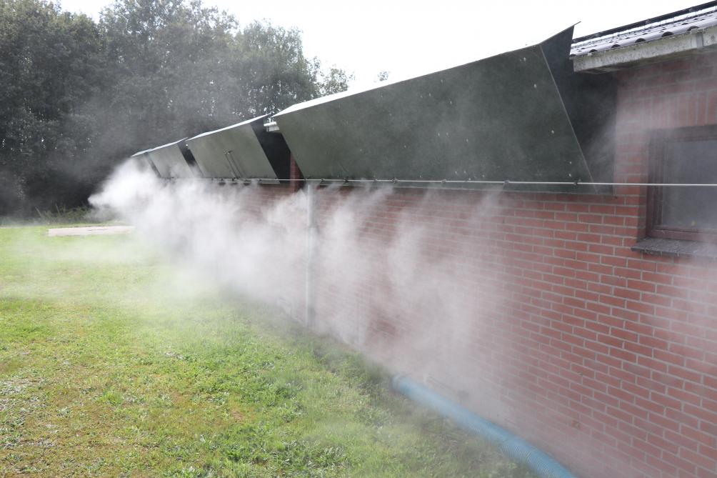 De stal is uitgerust met een koelingssysteem. Bij hogere temperaturen wordt koele nevel door middel van de onderdruk in de stal naar binnen gezogen.