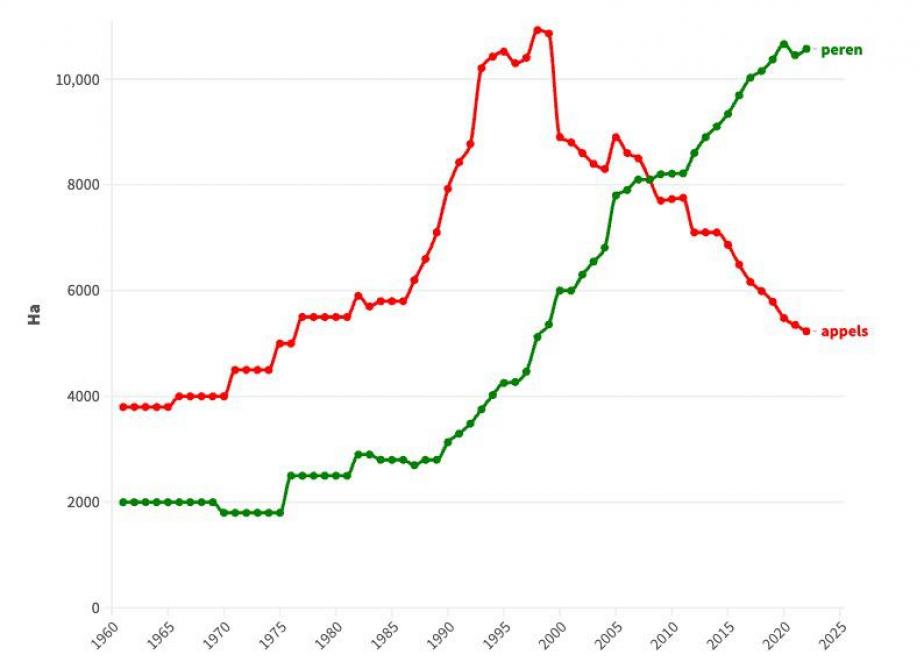 Figuur 2: Evolutie geteeld areaal aan appels en peren in België.