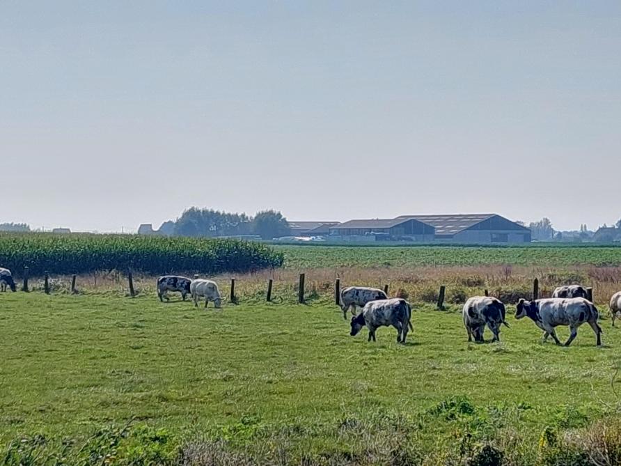In het regeerakkoord is er geen gedetailleerd plan om speculatie met landbouwgrond effectief aan te pakken en de toegang tot grond breed te waarborgen.