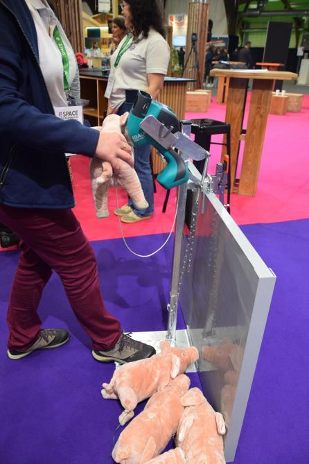 Dankzij een pedaal kan je het vaccinpistool van MSD Animal Health bedienen zonder handen.