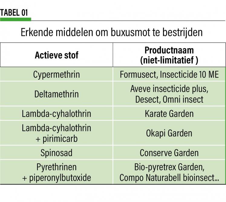 41-3464-BUXUSMOT-web