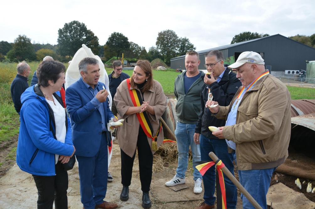 Na het oogsten van het eerste grondwitloof werd er geproefd. Teler Jos Nijs (tussen Gwendolyn Rutten en Tom Dehaene) kijkt goedkeurend toe.