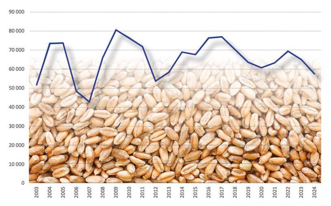 Figuur 1: Eindvoorraad stocks tarwe van de belangrijkste wereldwijde exporteurs (x 1.000 MT), oktober 2024