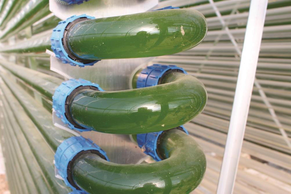 5.000 m aan doorzichtige glazen buizen met 20.000 l water: dat is de voedingsbodem van de microalgen.