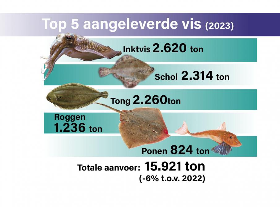 Top 5 aangeleverde vis in 2023.