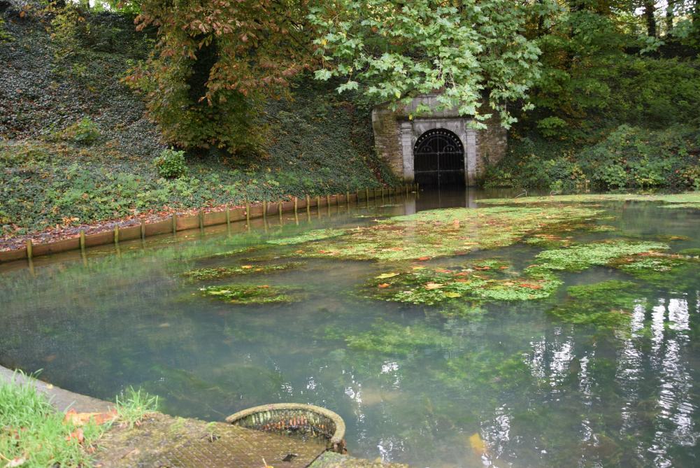 Achteraan op het mooie domein komt het bronwater in de vijvers terecht.