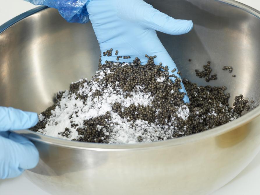 De kaviaarmeester zout de eitjes lichtjes voor een perfecte balans tussen de diverse aroma’s.