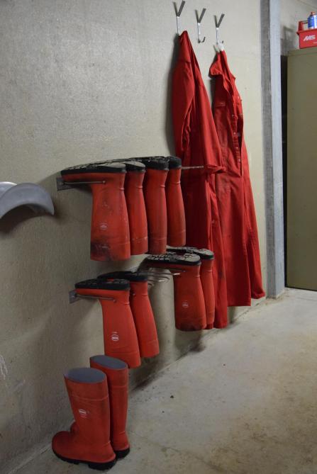 Leg nadruk op bioveiligheidsmaatregelen,  zoals handhygiëne, in combinatie met bedrijfsspecifieke kledij en schoeisel.