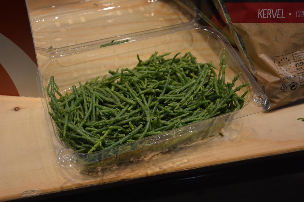 Een opvallende nieuwigheid is zeekraal, ideaal voor een lekkere bite bij visgerechten.