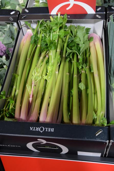 Nog een leuke noviteit is roze witte selder, ideaal om een cocktail mee af te werken.