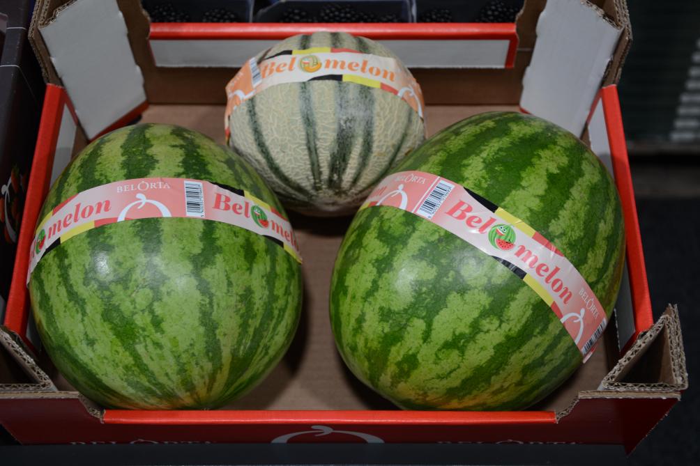Relatief nieuw is de BelOmelon-watermeloen, een mooie aanvulling op de lokaal geteelde Biomelon-charentaismeloen.
